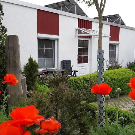 Zwischen Und Bodden Zwischen Udn Bodden App 06 * Ahrenshoop